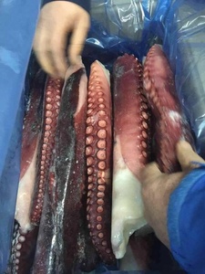 Xúc Tu Bạch Tuộc Tươi Nấu Chín Giá Tốt - Product Image 3