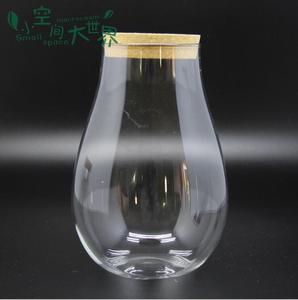 <span class=keywords><strong>Terrario</strong></span> <span class=keywords><strong>in</strong></span> <span class=keywords><strong>Vetro</strong></span> Borosilicato Soffiato a Bocca all'Ingrosso di Fabbrica 20cm*14cm 10cm*12cm - Product Image 1