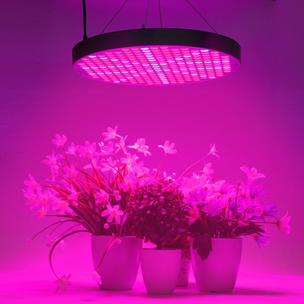 Epistar Led Grow Light For Hydroponic Systems & House Plants - Oem