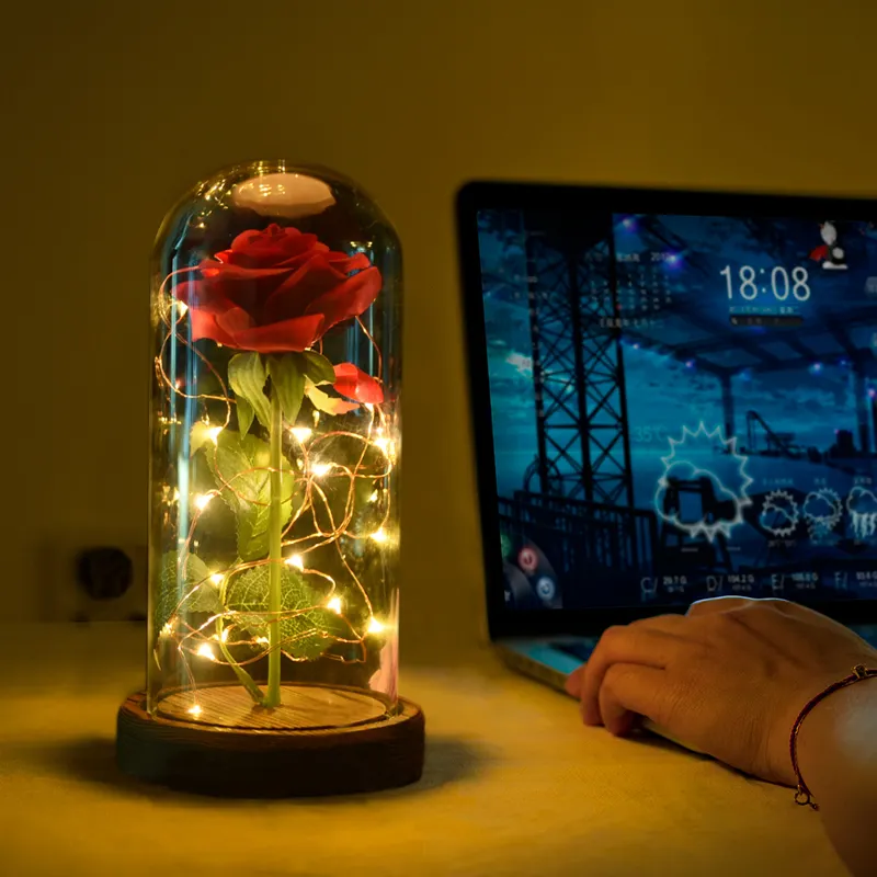 New Design Beauty and the Beast Rose Wholesale Preserved Eternal Roses with Led Lights in Glass Dome
