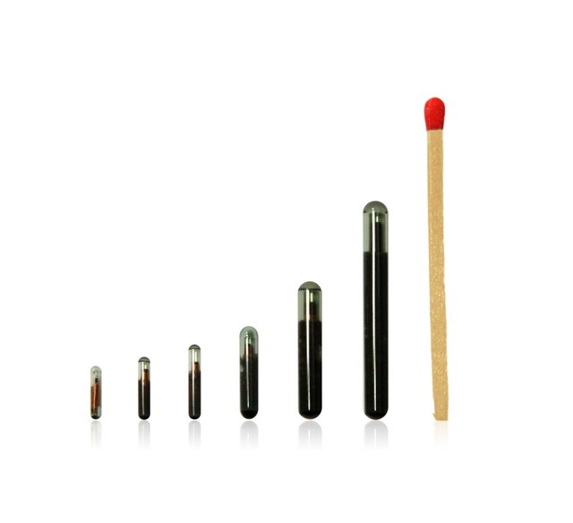 Microchip Wholesale 134.2Khz HDX SIC 7888 Chip Fish Tracking Bioglass RFID Microchip for Pets Wholesale