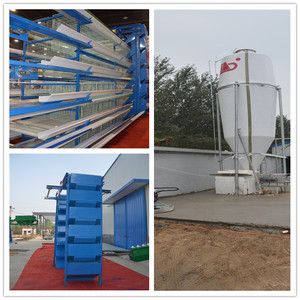 Equipos de granja avícola galvanizado alambre soldado jaulas de <span class=keywords><strong>pollo</strong></span> para la venta en <span class=keywords><strong>el</strong></span> sur de África - Product Image 2