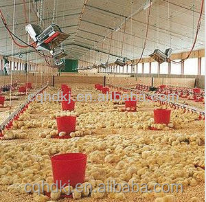 Hd2606-calentador de <span class=keywords><strong>Gas</strong></span> por infrarrojos para aves de corral, ahorro de <span class=keywords><strong>Gas</strong></span> para ganado y granja de pollos viejos y aves de corral, venta de fábrica - Product Image 5
