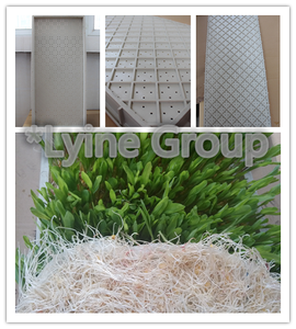 plateau de graines de graminées fourragères germination. - Product Image 1