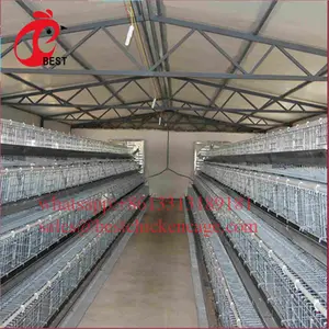Giá thấp nhất coop 200 con chim hai lớp giá gà thịt gà chăn nuôi lồng với chất lượng cao