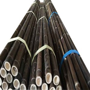 FD-201813 black Bamboo pole