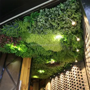 Jardin vertical mur vert en plastique fabricants de systèmes