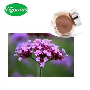 Verbena extrato da erva/preço de fábrica Verbena Officinalis Extract / 10:1 extrato de verbena