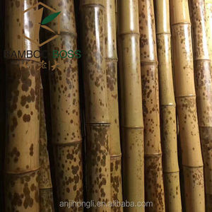 Caña <span class=keywords><strong>de</strong></span> <span class=keywords><strong>bambú</strong></span> negra natural para construcción, accesorio decorativo <span class=keywords><strong>de</strong></span> gran secado, moso - Product Image 2