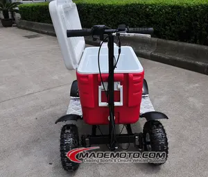 China Made 43cc mini gas cooler scooter for sale