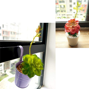 <span class=keywords><strong>2</strong></span> pcs Artificielle succulentes plantes tropicales et fleurs - Product Image 6