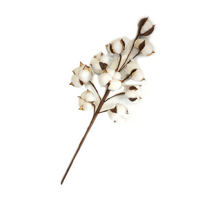 Décoration de mariage à domicile, fleurs artificielles séchées en coton coloré de Chine - Product Image 5