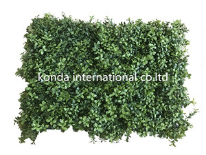 Comercio al por mayor de todo tipo de pared verde planta artificial sistema de <span class=keywords><strong>la</strong></span> pared verde pared vertical verde en china - Product Image 3