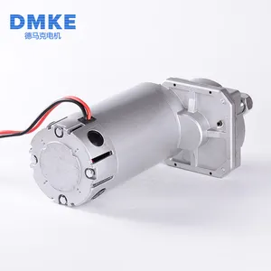 Kunden spezifisch 1:10 24V 250W 16A 300 U/min 5nm Kehr roboter dedizierter Getriebe motor