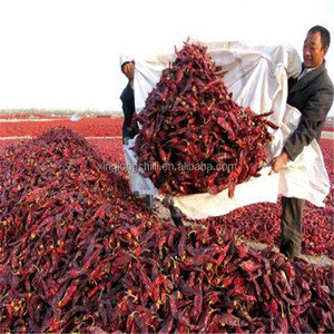 Ớt Đỏ mất nước Ớt ngọt có cuống - Product Image 4