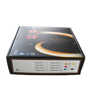 उच्च मात्रा पोर्टेबल 100kg डिजिटल फांसी क्रेन पैमाने 300kg - Product Image 5