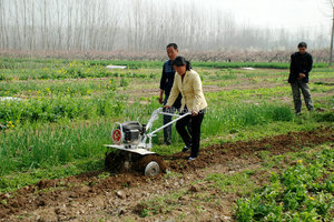 Mini tractor farm agrícola tractores viña venta quería distribuidor tractor - Product Image 3