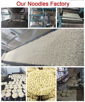 Nouilles instantanées blanches séchées Jolion, nourriture asiatique de qualité supérieure, saine, halal, casher, chinoise, certifiée HACCP et BRC, ramen frit