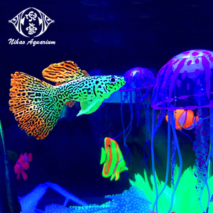 Decoraciones de Simulación de Peces <span class=keywords><strong>Guppy</strong></span> al por Mayor para Peceras de Peces Tropicales - Product Image 3