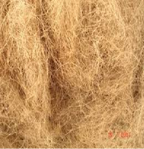 Noix De Coco indienne En Fiber De Coco - Product Image 2