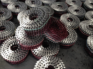 64mm x 2.5mm (2-1/2"x0.099") Clavos en rollo helicoidal senco - Product Image 5