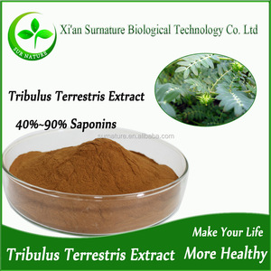 De alta pureza natural nerunji mull linn extrato de tribulus terrestris pó - Product Image 3