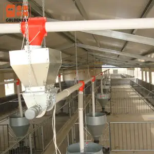 Pig House Feeding System Automatic Feeding Line for Pig Equipment Feeding System