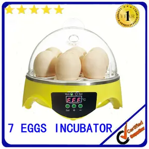 la famille de type mini incubateur pour le poulet œufs pour la vente avec du ce