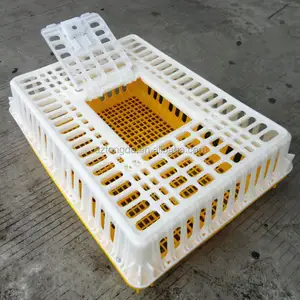 Canada hot selling plastic crate cage for chicken delivery