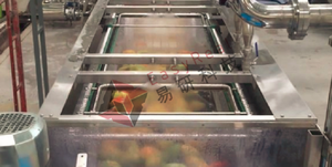 Küçük <span class=keywords><strong>Mango</strong></span> kağıt hamuru makinesi suyu konsantresi işleme tesisi <span class=keywords><strong>Mango</strong></span> sıkacağı çıkarıcı fiyat - Product Image 2