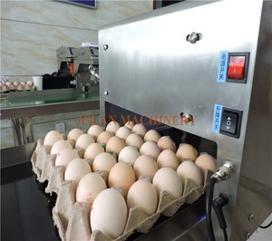 Máquina para Estampar Huevos con 6 Cartuchos de Tinta / Impresora de Huevos para 30000 Piezas / Máquina para Imprimir Fecha y Logotipo en Huevos - Product Image 5