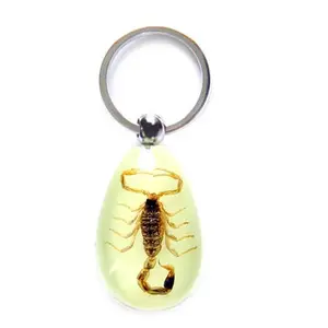 Low Cost for Business Solution Promotion Gift Custom Make Various Insects Choice Resin Specimen KeyChain KeyRing Mix Order