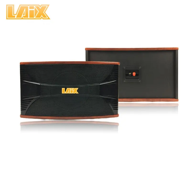 Laix LX-K2 8 इंच निष्क्रिय KTV वायर्ड कराओके स्पीकर के साथ 8 "बास सींग होम थिएटर, बार, कॉफी की दुकान, हॉल वक्ताओं