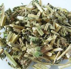Hierbas chinas tradicional de buena calidad, té de hierbas efectivo Yi <span class=keywords><strong>Mu</strong></span> Cao Leonurus japonicus Houtt Agripalma - Product Image 2