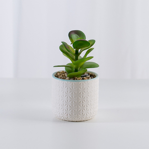 Grosir Elegan Seperti Kehidupan Dekoratif Set 2 Buatan <span class=keywords><strong>Succulent</strong></span> Tanaman Dalam Pot Keramik dengan Bambu Berdiri - Product Image 2