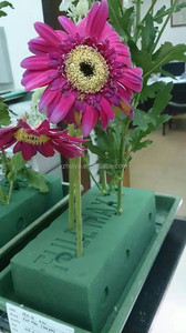Hebei huiya fiorista spugna di bagnato schiuma floreale