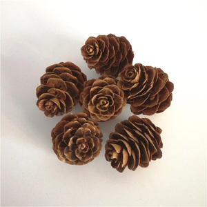 Boxed Natural <strong>Pinecones</strong> and Dried Flowers for Christmas Ornaments and Shooting Props with Flocking Printing Techniques - Product Image 4