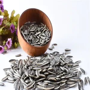 HIGH QUALITY Inner Mongolia high quality large black sunflower seeds363/361/5009/601 At Best Price