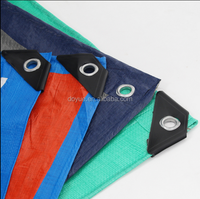 Pe Enduit 100% Polyester Tissé Tissu Imperméable Ignifuge Bâche pour Voitures-Tailles Liste de Prix Disponible chez Leroy Merlin
