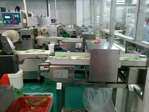 Hat İçi Endüstriyel Metal Dedektörü Konveyör Bantlı Metal Dedektörü Gıda İşleme Tesisi Metal Dedektörü - Product Image 5