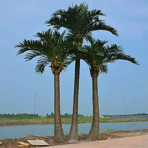 Süs bitki plastik yapay sahte palm coconut palm önemli tarih ağacı