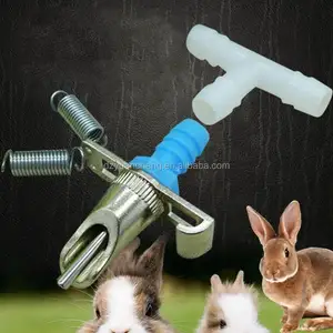 Núm Vú Tự Động Tưới Nước Uống Phù Hợp Cho THỎ Bunny