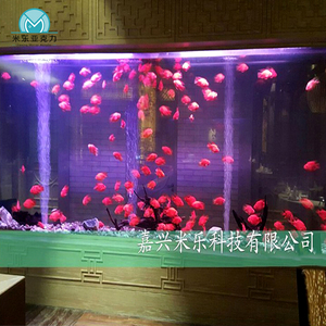 Aangepaste Hoge Kwaliteit Rechthoek Grote Acryl <span class=keywords><strong>Aquarium</strong></span> <span class=keywords><strong>50</strong></span> <span class=keywords><strong>Gallon</strong></span> Fish Tank - Product Image 4