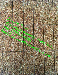 Macchina per Taglio <span class=keywords><strong>Cubetti</strong></span> di Caramelle / Taglierina per Torrone / Taglierina per <span class=keywords><strong>Cubetti</strong></span> di Dolci - Product Image 5