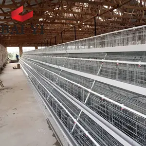 Hot sale second hand layer poultry cages