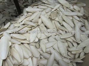 100% Natural Dried <b>Cuttlefish</b> Bone From Vietnam/ Vivian Ha +84 33 88 20 462 - Product Image 6