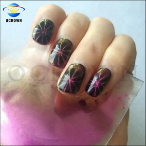 Vendita calda chameleon 3D occhio di gatto magnetico polveri pigmento per la nail art - Product Image 4