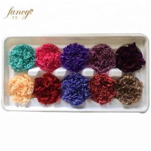FuncyFlora All'ingrosso <span class=keywords><strong>Art</strong></span> <span class=keywords><strong>House</strong></span> Marca Conservato Reale Naturale Del Fiore Del Garofano - Product Image 1