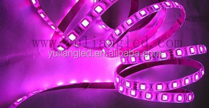 Navidad SMD 5050 RGB LED <span class=keywords><strong>Strp</strong></span> Flexible Impermeable con CE RoHS - Product Image 2