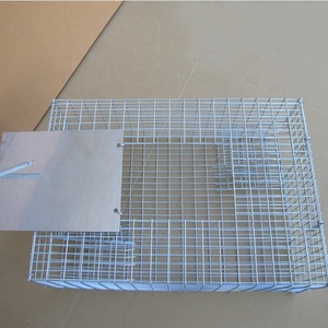 Canlı Kuş Tuzak Kafesleri Satış Magpies Güvercinler Serçeler Kargalar Çin Tedarikçiler - Product Image 3